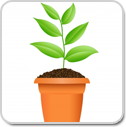start growing