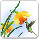 grow in beauty